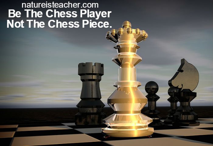 Be The Chess Player, Not Chess Piece QUOTATION