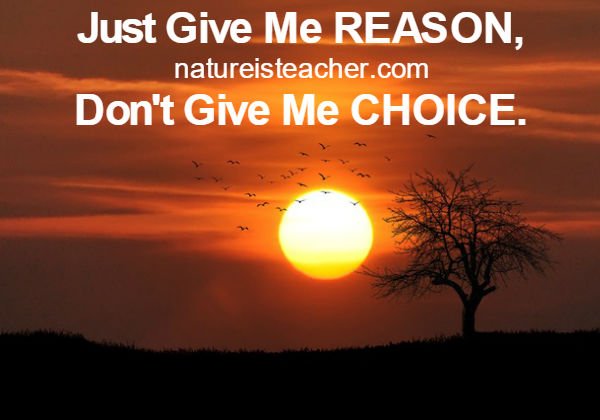 Give Me Reason Not Choice QUOTATION