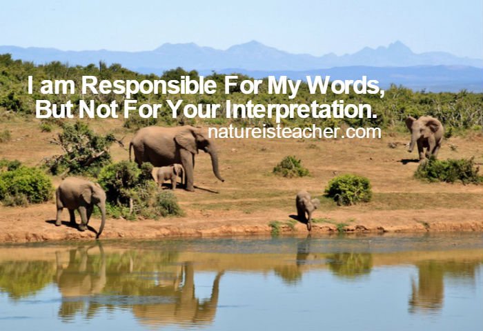 I am Not Responsible For Your Misinterpretation QUOTATION