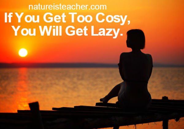 Don't Get Too Cosy QUOTATION
