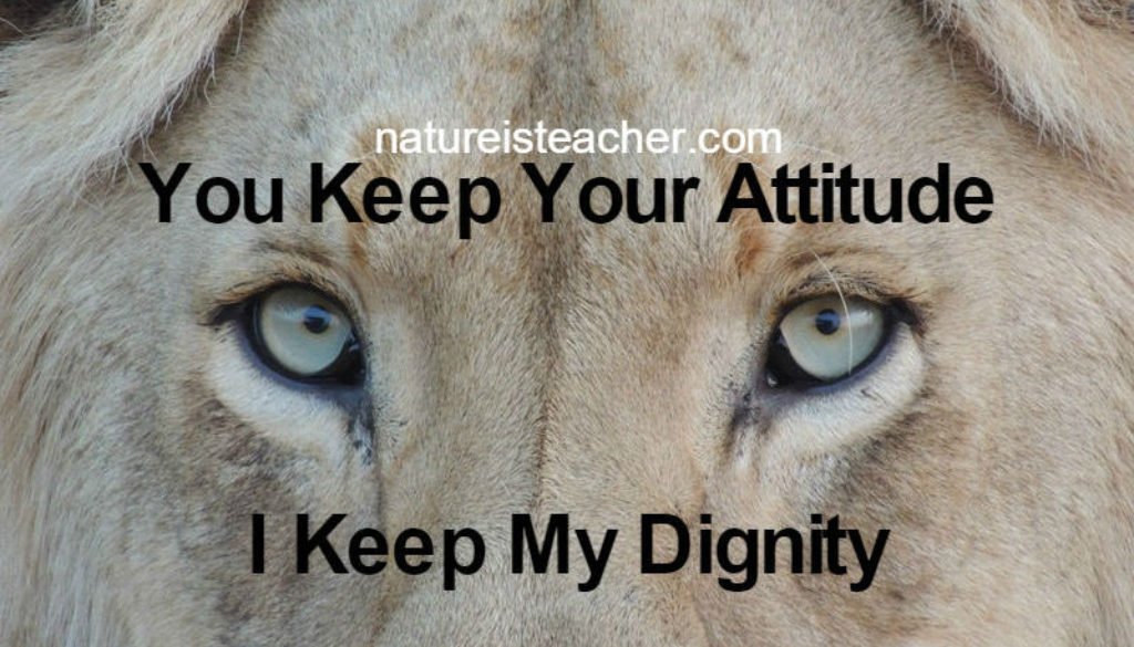 Attitude & Dignity QUOTATION