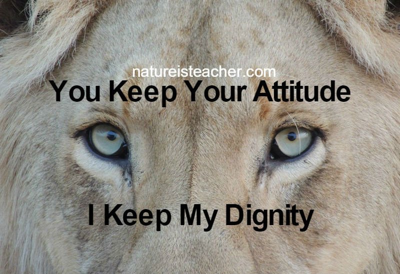 Attitude & Dignity QUOTATION