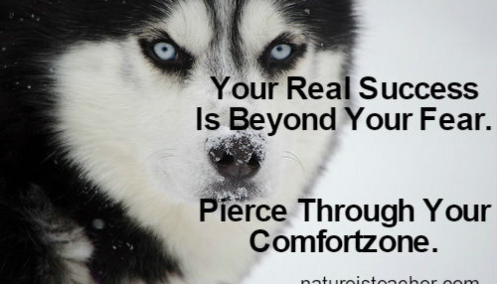 Fear & Comfort Zone QUOTATION