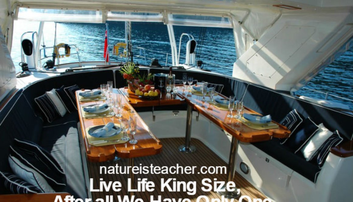 Live Life King Size QUOTATION