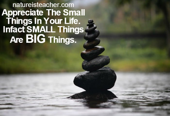 Small Things Are Big Things QUOTATION