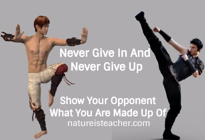 Never Give In And Never Give Up QUOTATION