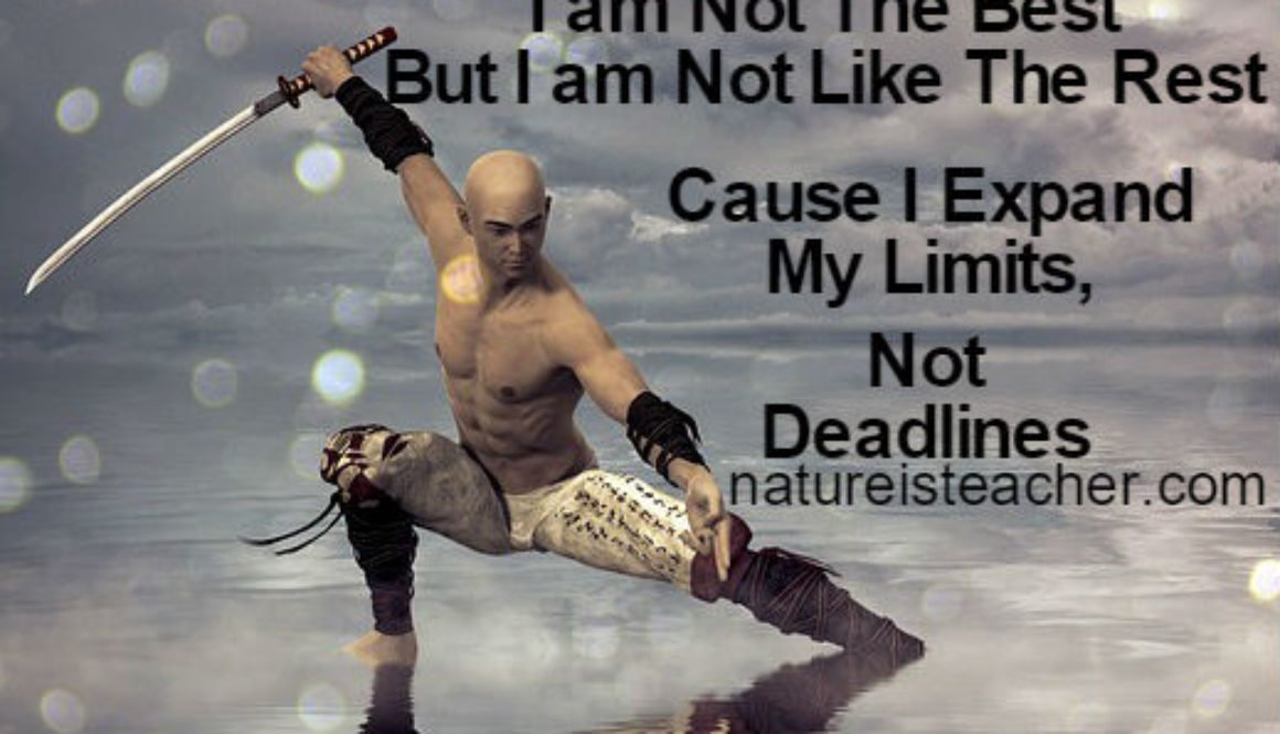 I am Not Like The Rest QUOTATION