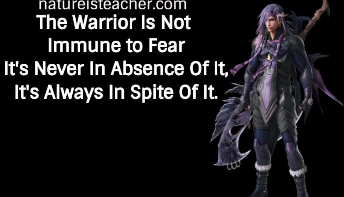 The Warrior Is Not Immune To Fear QUOTATION