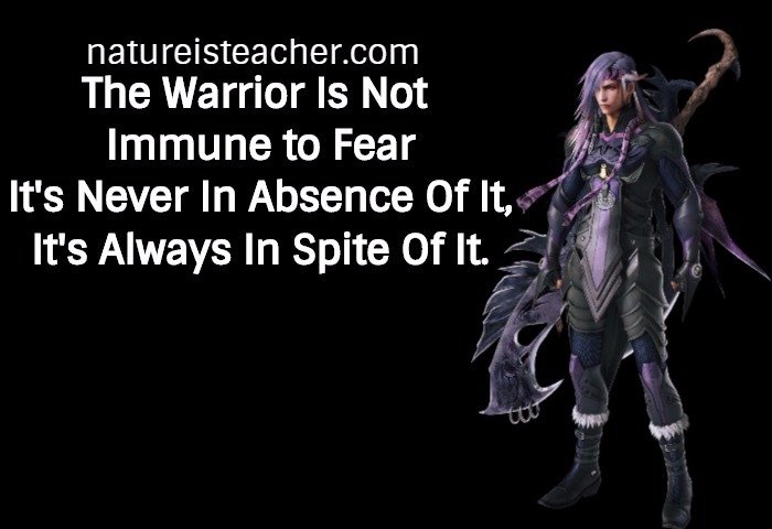 The Warrior Is Not Immune To Fear QUOTATION