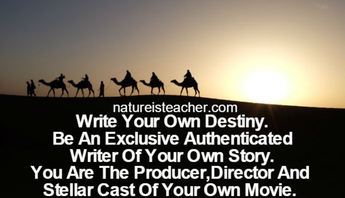 Write Your Own Destiny QUOTATION