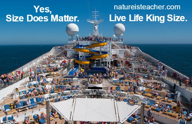Size Does Matter QUOTATION