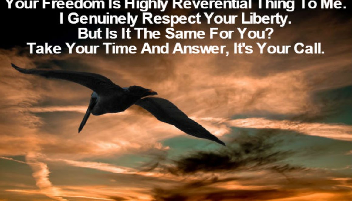 I Value Your Liberty QUOTATION