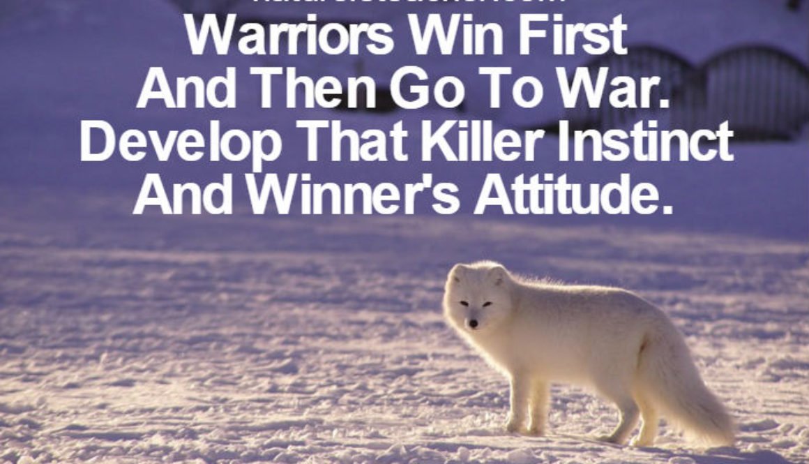 Warriors Win First Then Goes To War QUOTATION