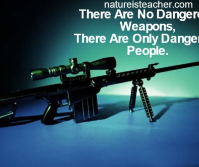 There Are No Dangerous Weapons QUOTATION